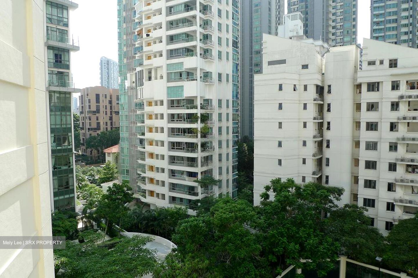 Amaryllis Ville (D11), Condominium #460546231